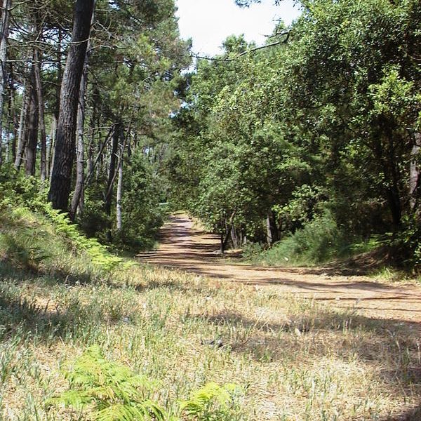 Randonnée à Madoreau à Jard