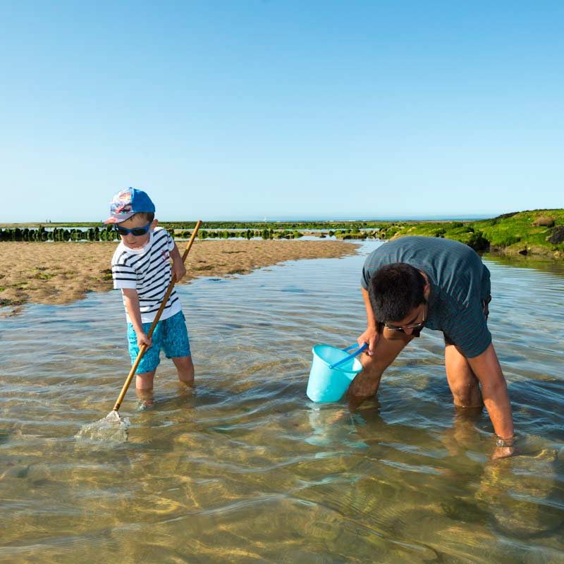 Plage du Veillon - Pêche crevettes ©Joncheray-Valery