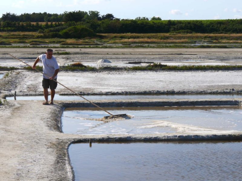 marais-salants-talmont